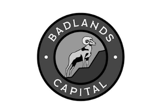 · BADLANDS CAPITAL ·