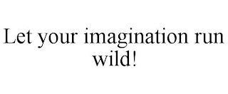 LET YOUR IMAGINATION RUN WILD!