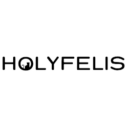 HOLYFELIS