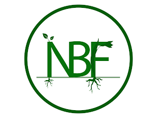 NBF