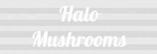 HALO MUSHROOMS