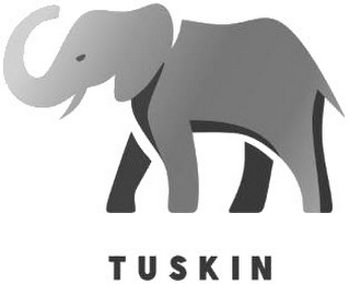 TUSKIN