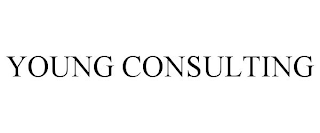 YOUNG CONSULTING