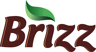 BRIZZ