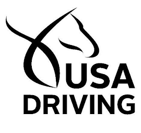 USA DRIVING