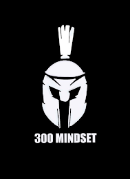 300 MINDSET