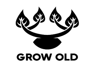 GROW OLD