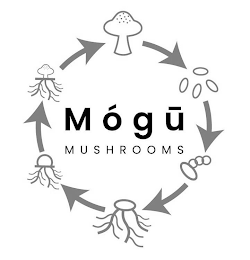 MÓGU MUSHROOMS