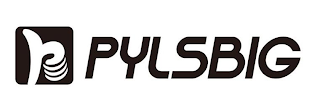 PYLSBIG