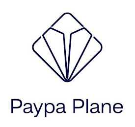 PAYPA PLANE