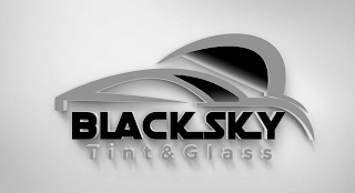 BLACK SKY TINT & GLASS