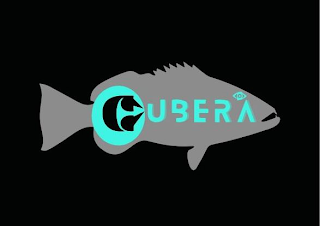 CUBERA