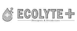 H H O CL CL ECOLYTE+DETERGENTS & DISINFECTANTS