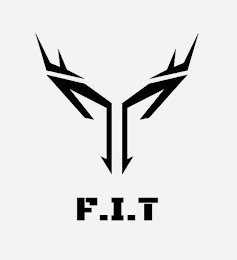 F.I.T