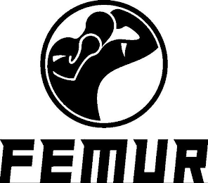 FEMUR