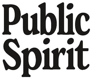 PUBLIC SPIRIT