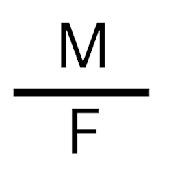 MF