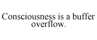 CONSCIOUSNESS IS A BUFFER OVERFLOW.