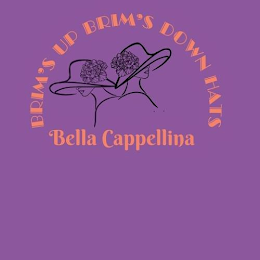 BELLA CAPELLINA BRIM'S UP BRIM'S DOWN'S HATS