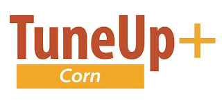 TUNEUP + CORN