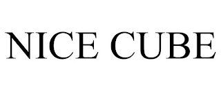 NICE CUBE