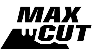 MAX CUT