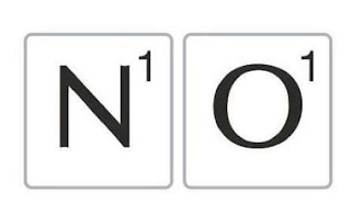 N1O1