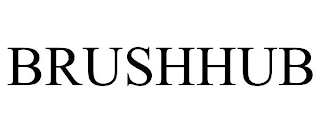 BRUSHHUB
