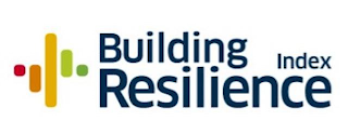 BUILDING RESILIENCE INDEX