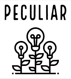 PECULIAR