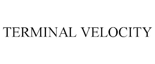 TERMINAL VELOCITY