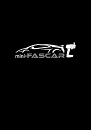 MINI-FASCAR