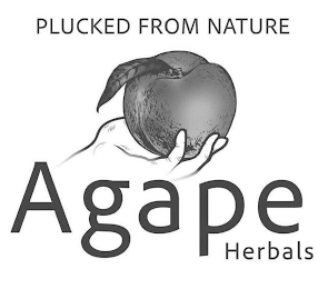 PLUCKED FROM NATURE AGAPE HERBALS