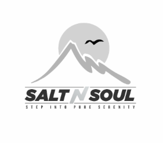 SALT N SOUL S T E P  I N T O  P U R E  S E R E N I T Y