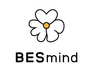 BESMIND