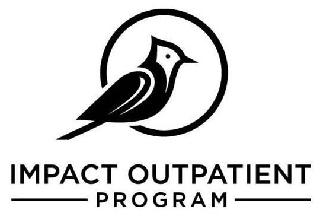 IMPACT OUTPATIENT PROGRAM