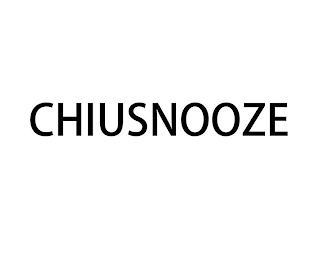 CHIUSNOOZE