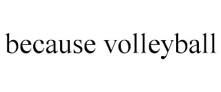 BECAUSE VOLLEYBALL