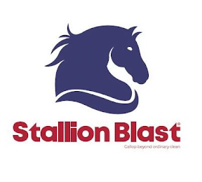 STALLION BLAST GALLOP BEYOND ORDINARY CLEAN