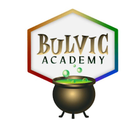 BULVIC ACADEMY