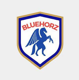 BLUEHORZ