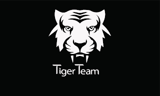 TIGER TEAM