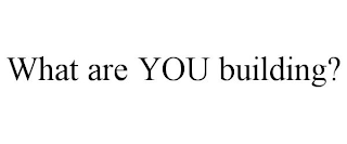 WHAT ARE YOU BUILDING?