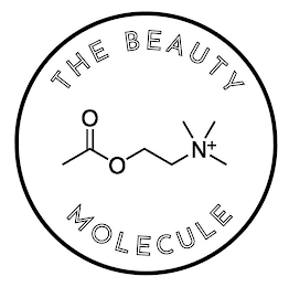 THE BEAUTY MOLECULE O O N+