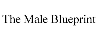 THE MALE BLUEPRINT