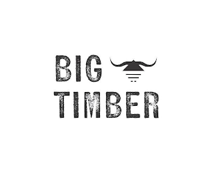 BIG TIMBER