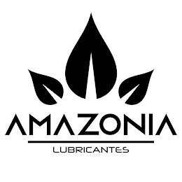 AMAZONIA LUBRICANTES