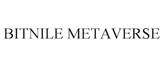 BITNILE METAVERSE