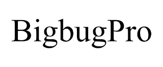 BIGBUGPRO