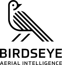 BIRDSEYE AERIAL INTELLIGENCE